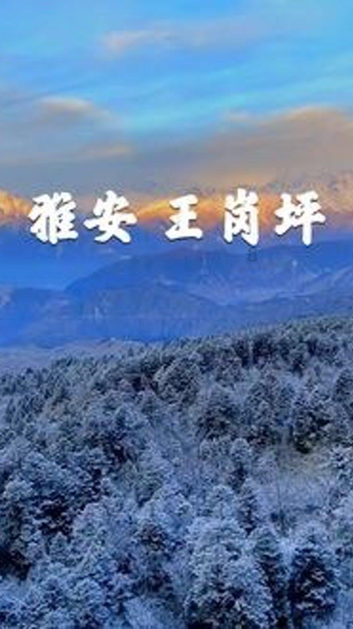 美图秀秀下载2023最新版